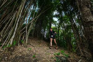 BIB: 
                            <button type="button" onclick="openModal(19395772)" class="btn btn-primary btn-sm float-right btn-popup" data-toggle="modal" data-target=".modal-high-quality">
                        <i class="fas fa-shopping-cart"></i> Add to Cart
                    </button>
                                            <button type="button" onclick="isThisMe(19395772, true)" class="btn btn-success btn-sm float-right btn-popup btn-isme hidden" data-toggle="tooltip" data-placement="bottom" title="นี่คือรูปของคุณใช่ไหม คลิกที่นี่เพื่อเอาเข้าอัลบั้ม">
                        <i class="fas fa-plus"></i> Add to album
                    </button>
                    <button type="button" onclick="isThisMe(19395772, false)" class="btn btn-warning btn-sm float-right btn-popup btn-isnotme hidden">
                        <i class="fas fa-ban"></i> Remove from album
                    </button>